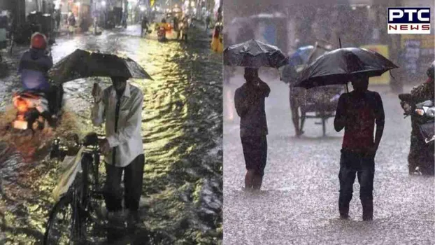 तमिलनाडु में बारिश ने मचाया कहर, 4 जिलों में 31 लोगों की मौत, केंद्र ने आवंटित किए 900 करोड़ रुपये