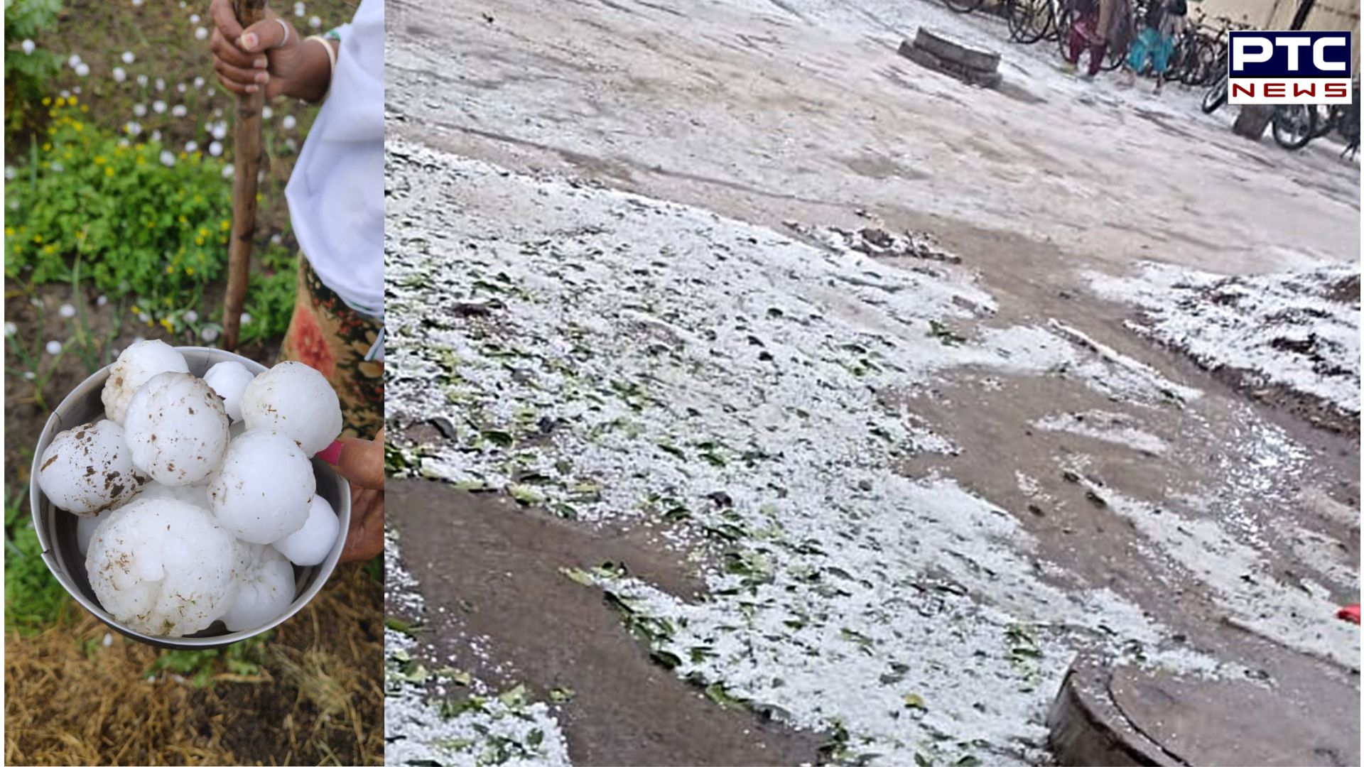 Punjab and Haryana hit by hailstorm; farmers fear extensive damage to crops | Watch