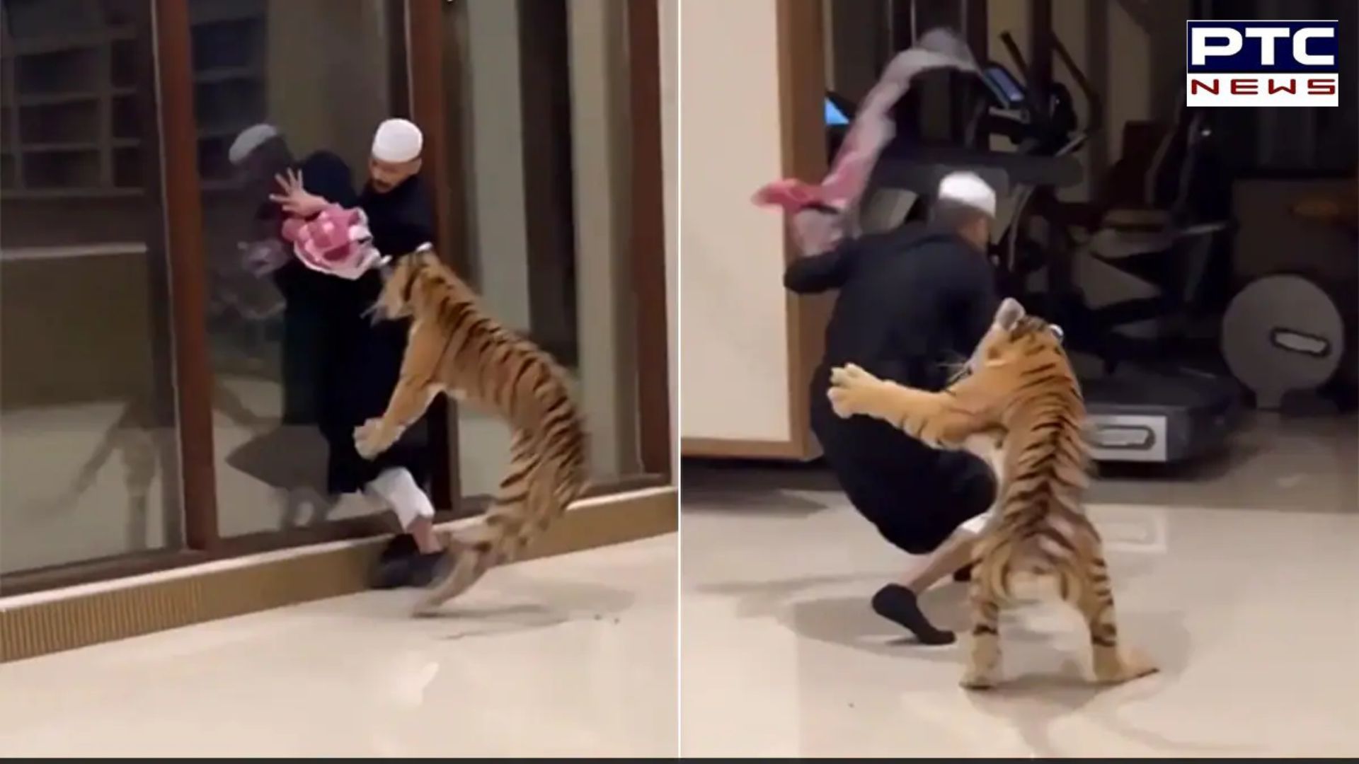 Pet tiger chasing man in lavish Dubai home goes viral