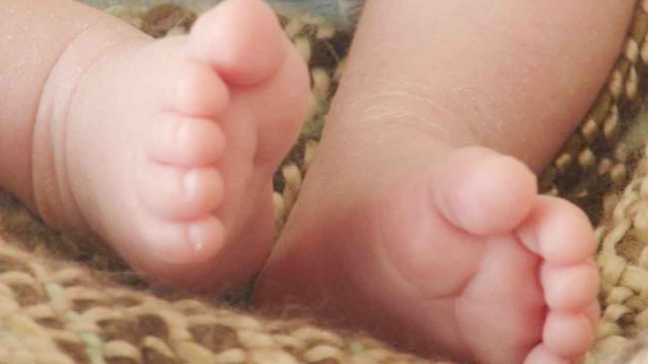 Haryana News: लिंगानुपात में चरखी दादरी जिला सबसे आगे, महेंद्रगढ़ फिसड्डी