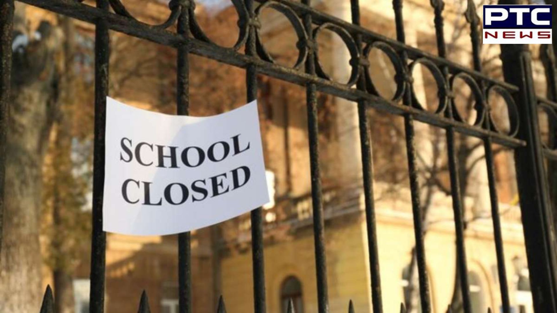 Delhi-NCR shivers: Noida schools shut till Jan 14 due to dense fog and cold wave
