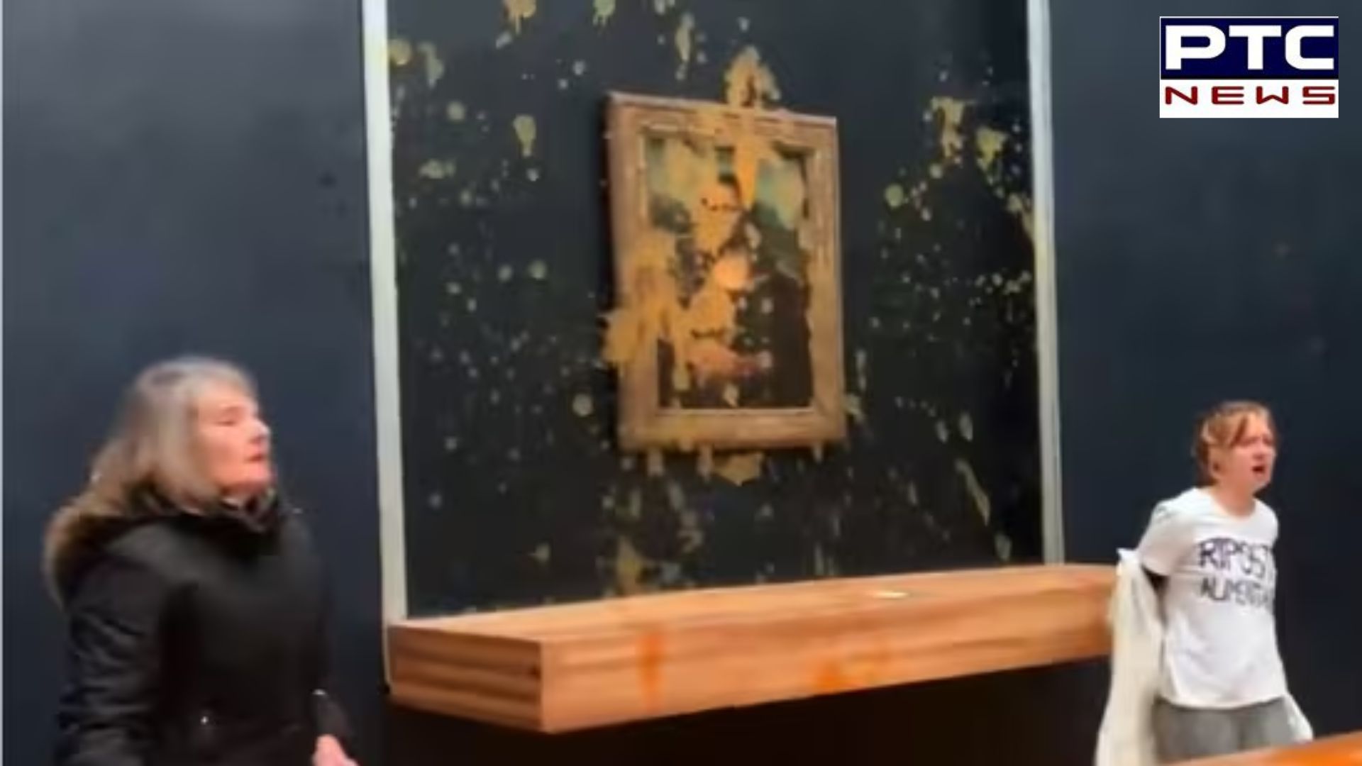Protesters make bold statement as soup thrown at da Vinci's Mona Lisa