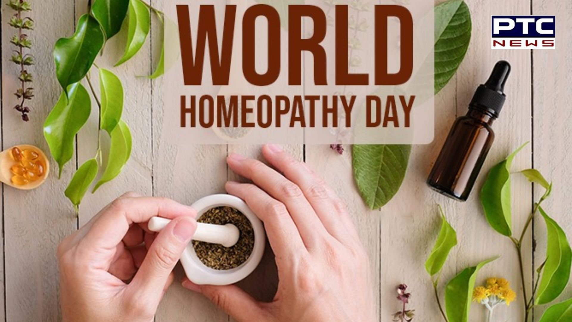 World Homeopathy Day: ਬਿਨਾਂ ਸਾਈਡ ਇਫੈਕਟ ਇਨ੍ਹਾਂ 5 ਬਿਮਾਰੀਆਂ ਨੂੰ ਠੀਕ ਕਰਦੀਆਂ ਹਨ ਹੋਮਿਓਪੈਥੀ ਦਵਾਈਆਂ