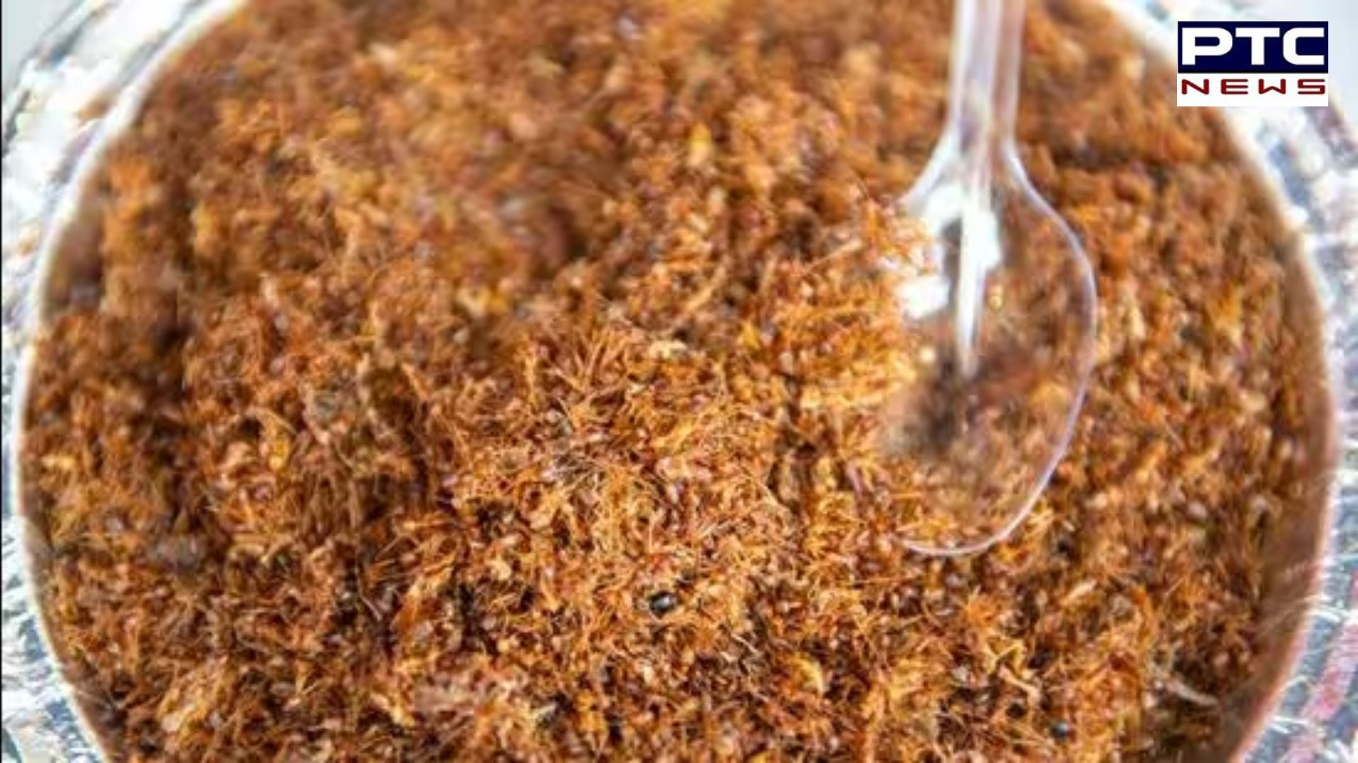 Odisha's red ant chutney earns GI tag: A superfood insight