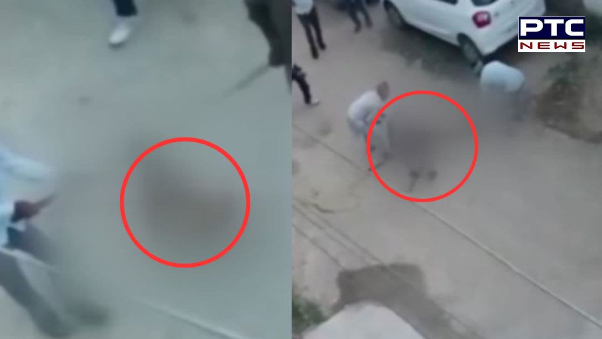 लुधियाना में कुत्ते पर बरसाईं लाठियां, बरछा मार फाड़ा फेफड़ा, FIR दर्ज