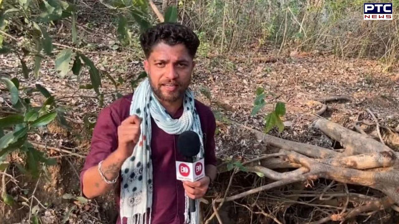 Chhattisgarh journalist murder: Cousin identified key accused, SIT to initiate probe