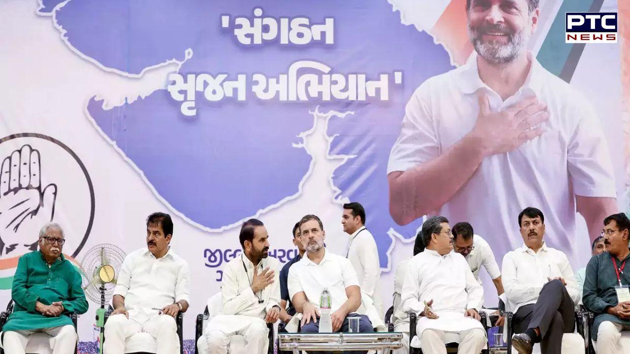 Congress to go solo in Gujarat bypolls, rules out alliance with AAP