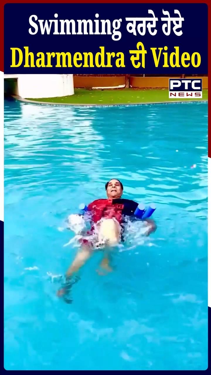 ਸਵੀਮਿੰਗ ਕਰਦੇ ਹੋਏ  ਅਦਾਕਾਰ ਧਰਮਿੰਦਰ ਦੀ ਵੀਡੀਓ