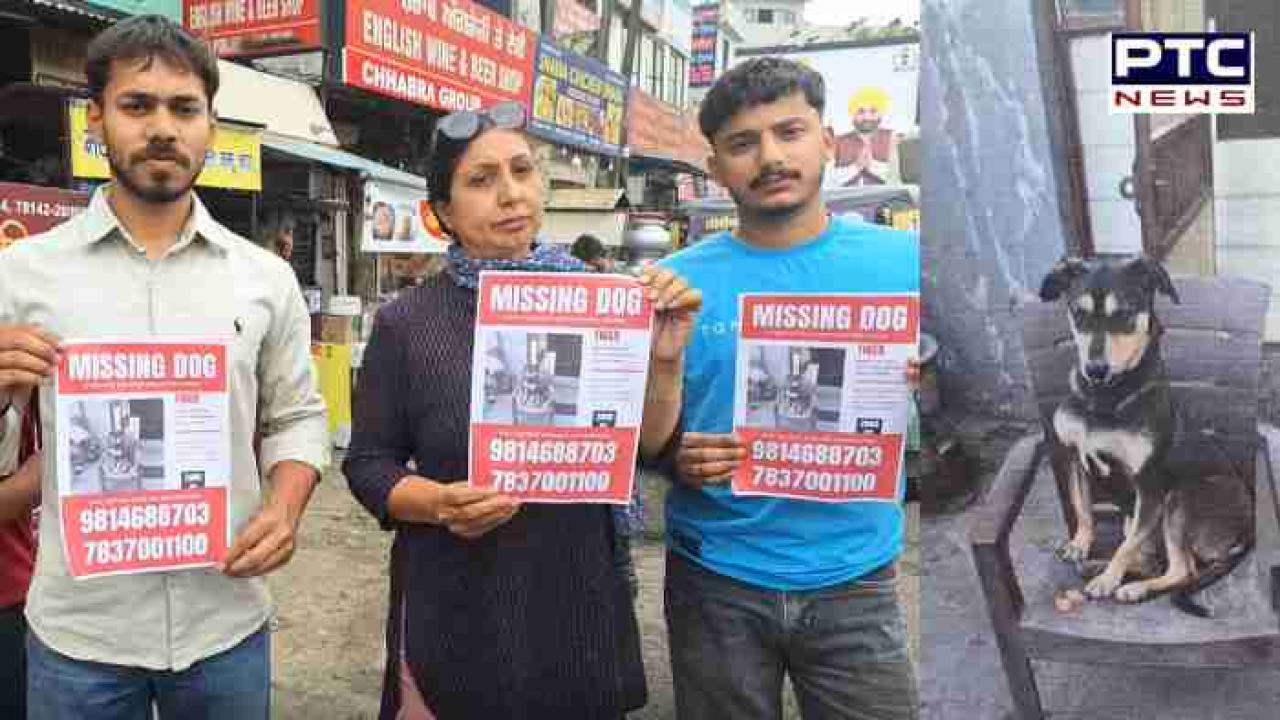 Missing dog : ਪਰਿਵਾਰ ਦਾ ਕੁੱਤਾ ਹੋ ਗਿਆ ਗੁੰਮ ,ਲੱਭਣ ਲਈ ਸੜਕਾਂ 'ਤੇ ਨਿਕਲੇ ਪਰਿਵਾਰਿਕ ਮੈਂਬਰ ,ਲੱਭਣ ਵਾਲੇ ਦਿੱਤਾ ਜਾਵੇਗਾ ਇਨਾਮ