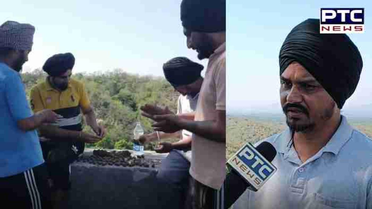 ਵਾਤਾਵਰਣ ਦੀ ਸੁਰੱਖਿਆ ਲਈ ਨੌਜਵਾਨ ਦਾ ਵੱਡਾ ਉਪਰਾਲਾ , ਸੀਡ ਬਾਲਾਂ ਦੇ ਜ਼ਰੀਏ ਪਹਾੜਾਂ ਅਤੇ ਸੰਘਣੇ ਜੰਗਲੀ ਖੇਤਰਾਂ ਵਿੱਚ ਲਗਾ ਰਿਹੈ ਦਰੱਖਤ