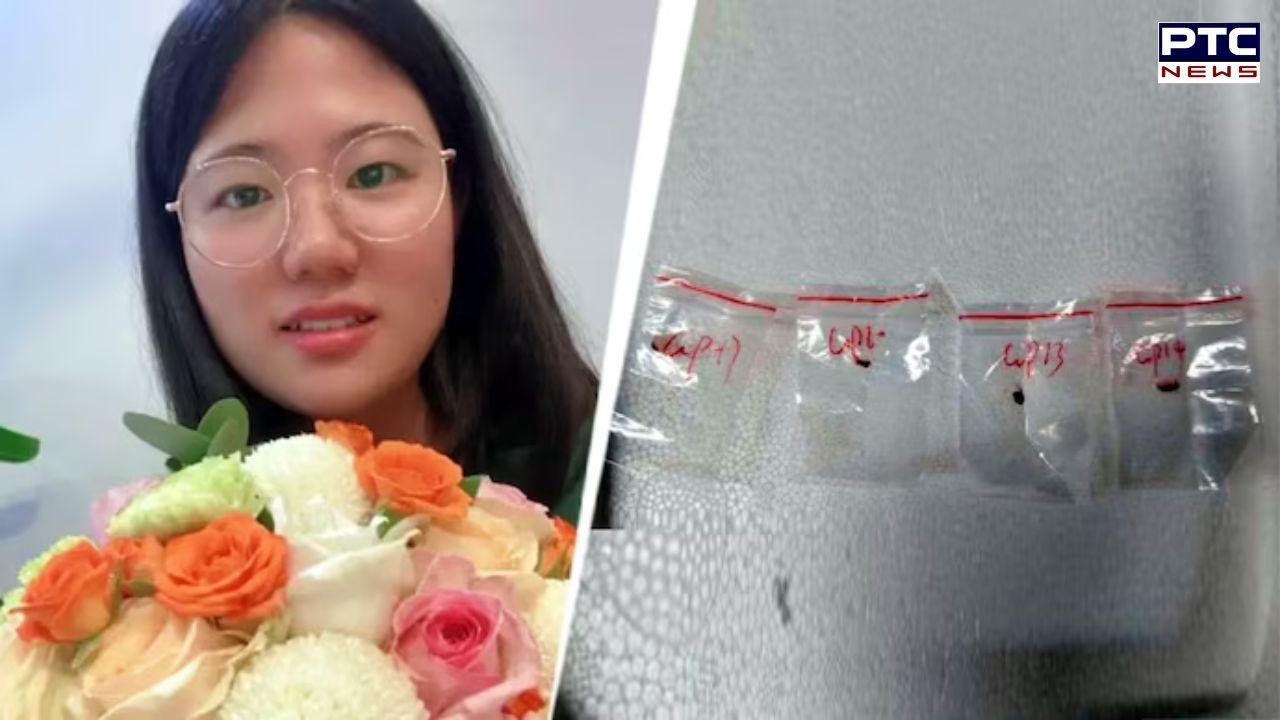 Chinese couple arrested for smuggling crop-killing fungus into the US