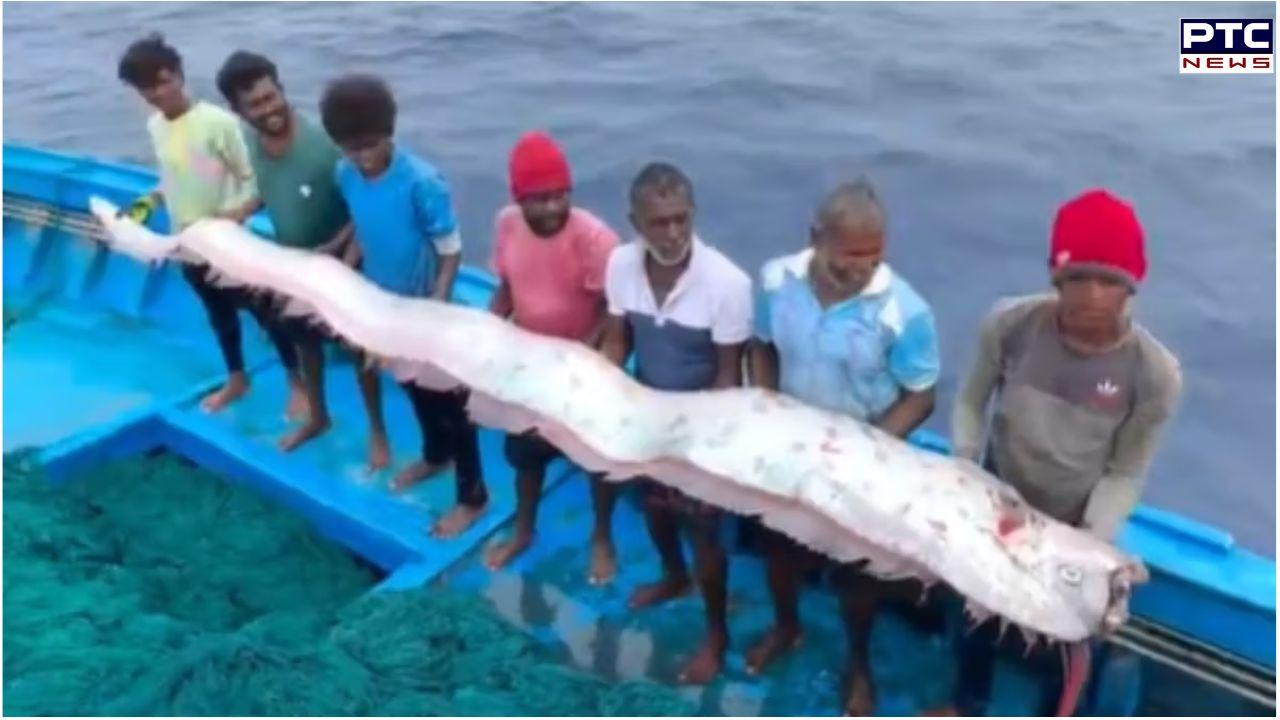 'Doomsday Fish' sighting off Tamil Nadu coast sparks panic; is linked to risk of natural disasters; watch video