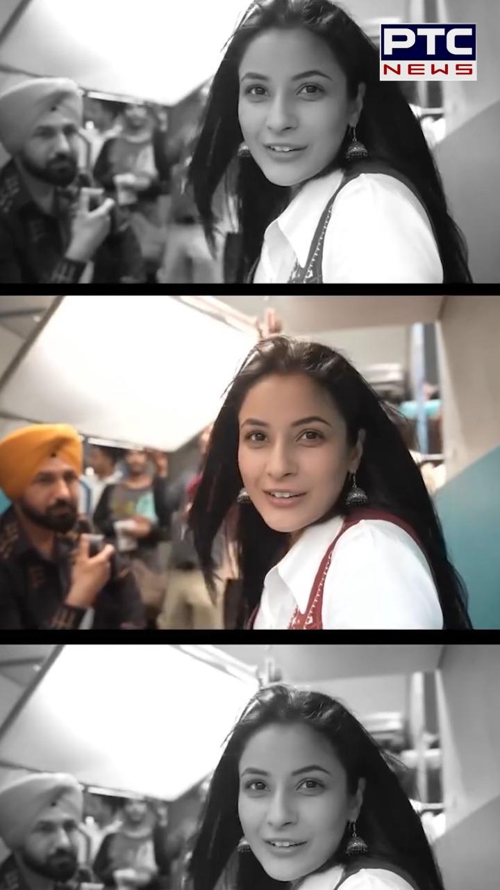 Shehnaaz Gill ਪਿੱਛੇ ਪੈ ਗਈਆਂ ਭਰਿੰਡਾਂ !