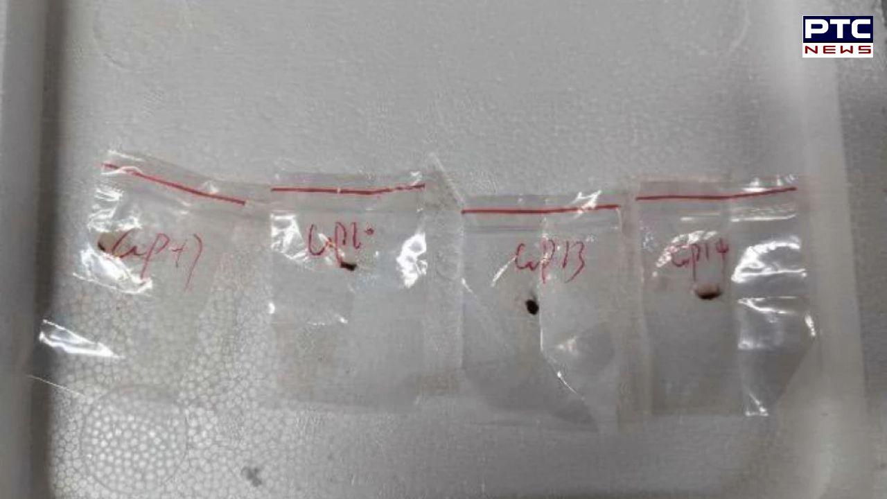 Biological smuggling: US arrests Chinese national linked to Wuhan, second case in a month