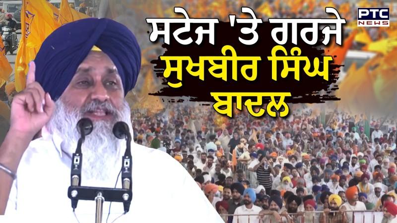 ਪੰਜਾਬ 'ਚ ਦਿੱਲੀ ਦੀ ਦਖ਼ਲਅੰਦਾਜ਼ੀ ਤੋਂ ਭੜਕੇ Sukhbir Singh Badal, ਭਗਵੰਤ ਮਾਨ ਨੂੰ ਸੁਣਾਈਆਂ ਖਰੀਆਂ -ਖਰੀਆਂ