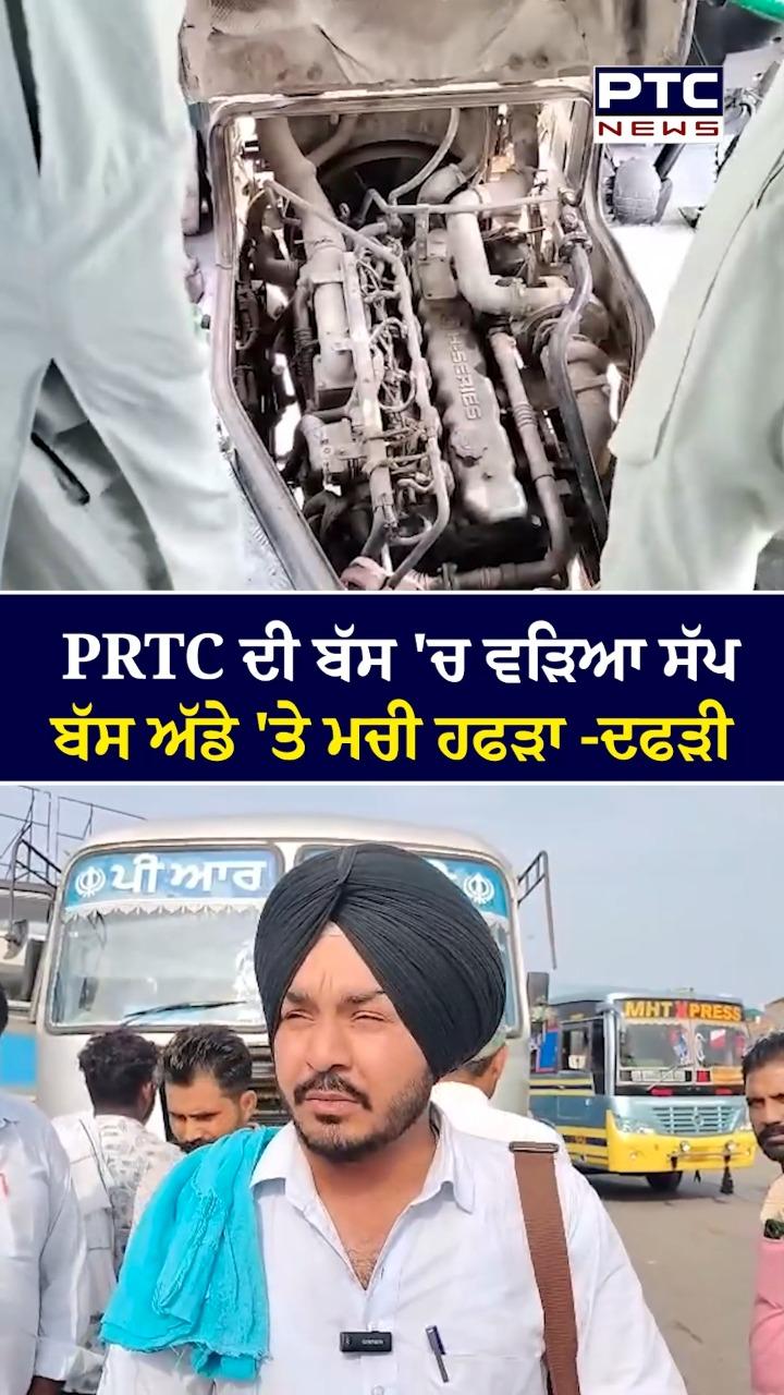 PRTC ਦੀ ਬੱਸ ’ਚ ਵੜਿਆ ਸੱਪ