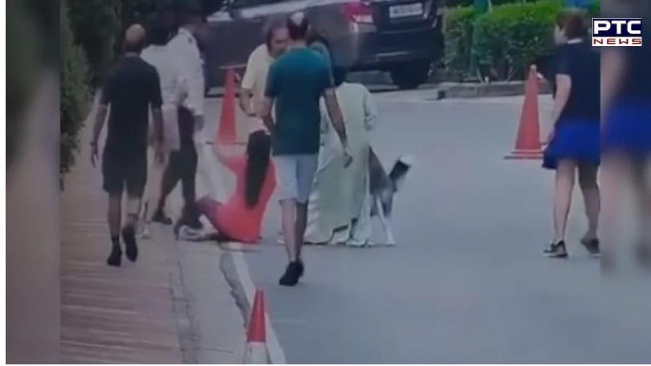 Gurugram horror: Pet husky attacks woman during walk in posh society, caught on camera