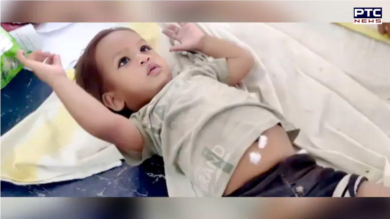Trending: One-year-old child in Bihar's Bettiah bites and kills cobra, hospitalised after falling unconscious