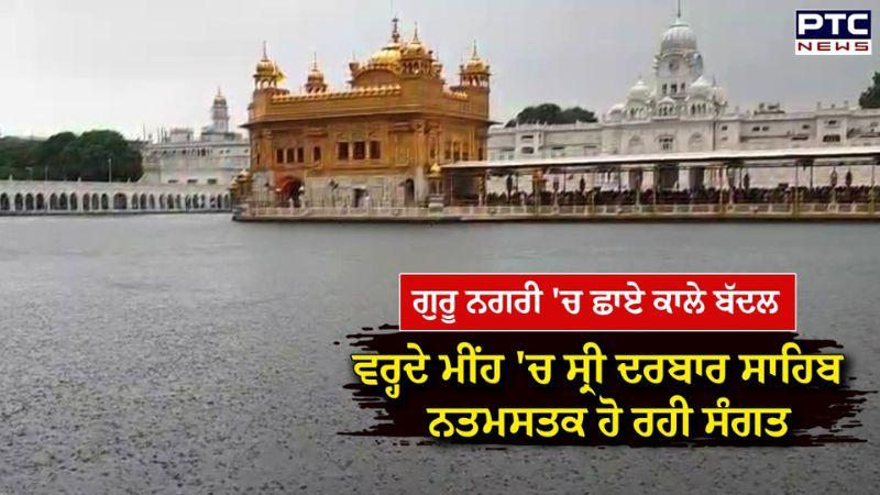 Golden Temple : Amritsar 'ਚ ਛਾਏ ਕਾਲੇ ਬੱਦਲ, ਵਰ੍ਹਦੇ ਮੀਂਹ 'ਚ ਸ੍ਰੀ ਦਰਬਾਰ ਸਾਹਿਬ ਵਿਖੇ ਨਤਮਸਤਕ ਹੋ ਰਹੀ ਸੰਗਤ