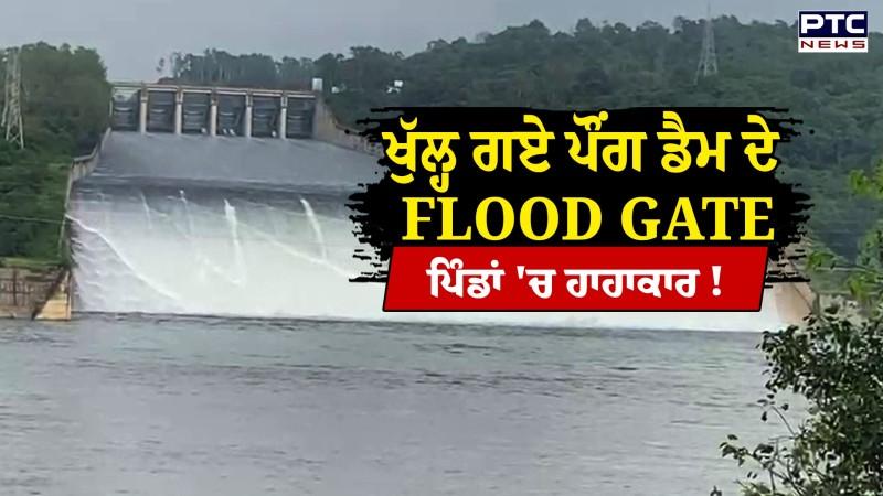 ਪੰਜਾਬ ਦੇ ਪਿੰਡਾਂ 'ਚ ਹਾਹਾਕਾਰ!  Pong Dam 'ਚੋਂ ਛੱਡਿਆ ਗਿਆ ਪਾਣੀ, ਦੇਖੋ LIVE ਤਸਵੀਰਾਂ