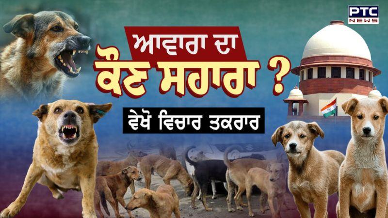 Stray Dogs : ਆਵਾਰਾ ਦਾ ਸਹਾਰਾ ਕੌਣ ? ਵੇਖੋ ਵਿਚਾਰ ਤਕਰਾਰ - Supreme Court