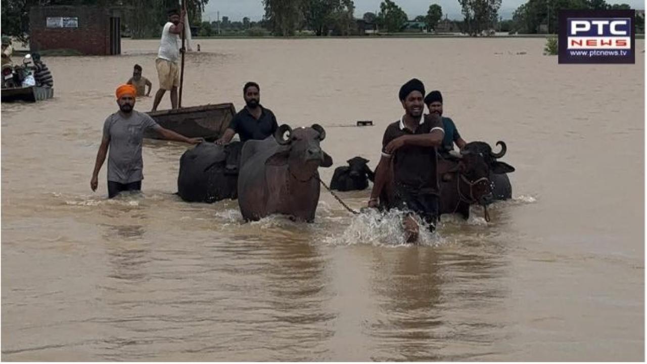 Punjab Weather LIVE Updates: Situation worsening in Punjab; schools shut till Aug 30; floods in 7 districts, 6 rescued by helicopter