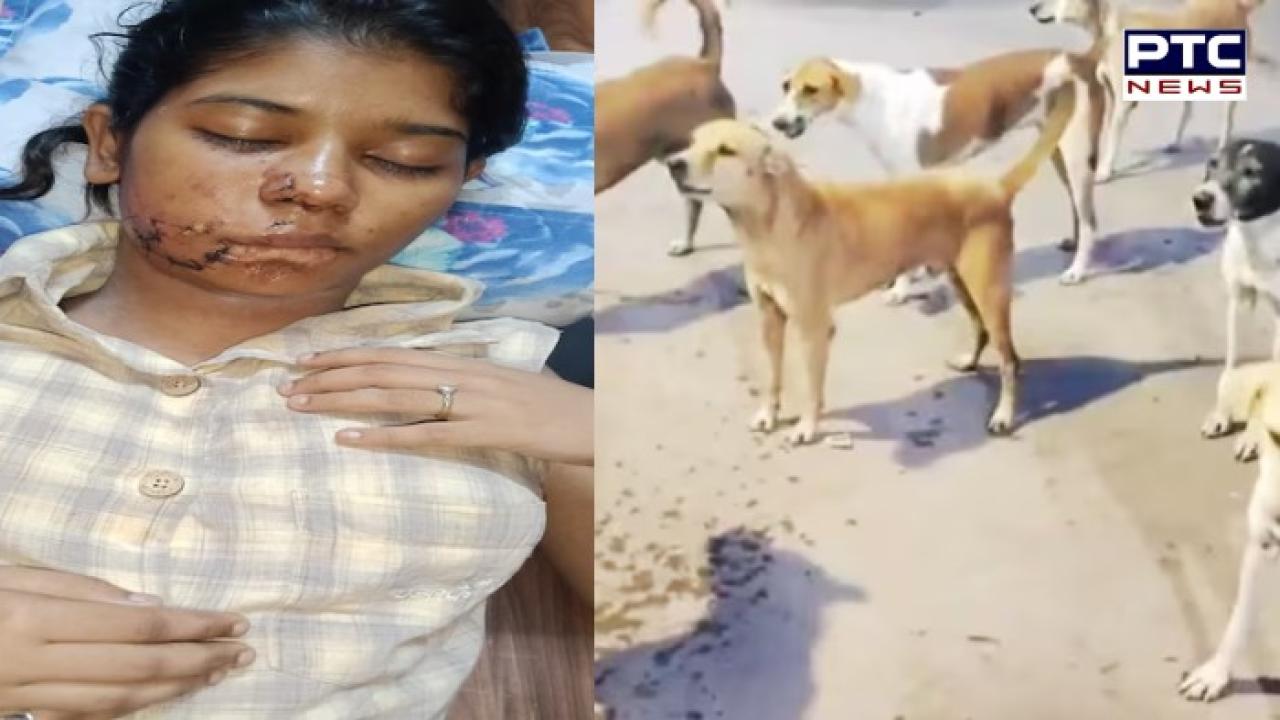 Kanpur dog attack : ਅਵਾਰਾ ਕੁੱਤਿਆਂ ਨੇ BBA ਵਿਦਿਆਰਥਣ 'ਤੇ ਕੀਤਾ ਹਮਲਾ, ਚਿਹਰੇ 'ਤੇ ਲੱਗੇ 17 ਟਾਂਕੇ