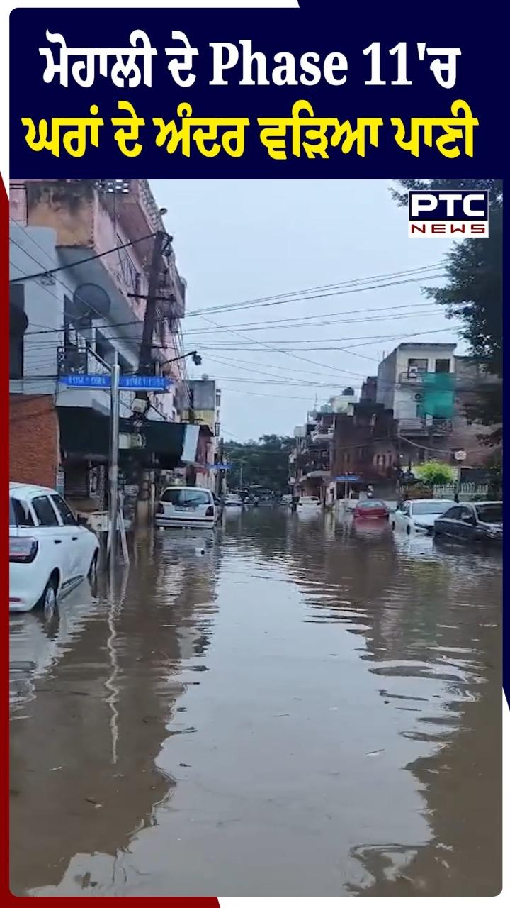 Mohali Rain : ਮੋਹਾਲੀ ਦੇ ਫੇਸ 11 'ਚ ਘਰਾਂ ਅੰਦਰ ਵੜਿਆ ਮੀਂਹ ਦਾ ਪਾਣੀ
