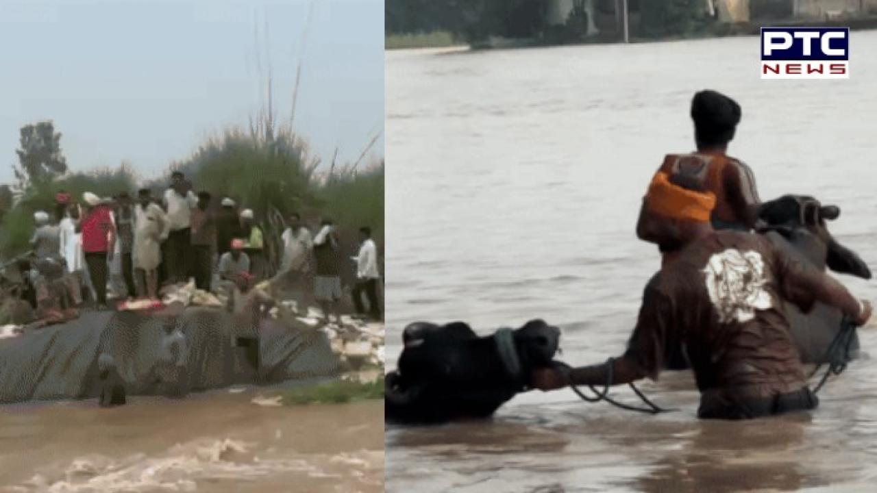 Punjab Weather News : ਪੰਜਾਬ ਦੇ 4 ਜ਼ਿਲ੍ਹਿਆਂ 'ਚ ਭਾਰੀ ਮੀਂਹ ਲਈ ਯੈਲੋ ਅਲਰਟ ਜਾਰੀ , ਹੜ੍ਹ ਦੀ ਚਪੇਟ 'ਚ ਆਏ 4 ਜ਼ਿਲ੍ਹੇ
