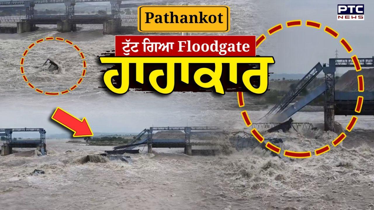 Pathankot Floods Updates : ਮਾਧੋਪੁਰ ਹੈਡ ਵਰਕਸ ਦਾ ਫਲੱਡ ਗੇਟ ਟੁੱਟਿਆ, 50 ਤੋਂ ਵੱਧ ਲੋਕ ਫਸੇ, 1 ਲਾਪਤਾ