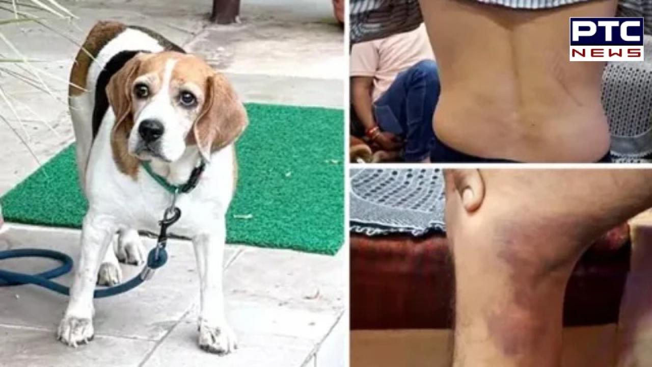 Inspector ਸਾਬ੍ਹ ਦਾ ਕੁੱਤਾ ਗੁੰਮ ਹੋਇਆ ਤਾਂ ਕਾਂਸਟੇਬਲ ਨੂੰ ਘਰ ਬੁਲਾ ਕੇ ਬੈਲਟ ਨਾਲ ਕੁੱਟਿਆ, ਜਾਣੋਂ ਪੂਰਾ ਮਾਮਲਾ