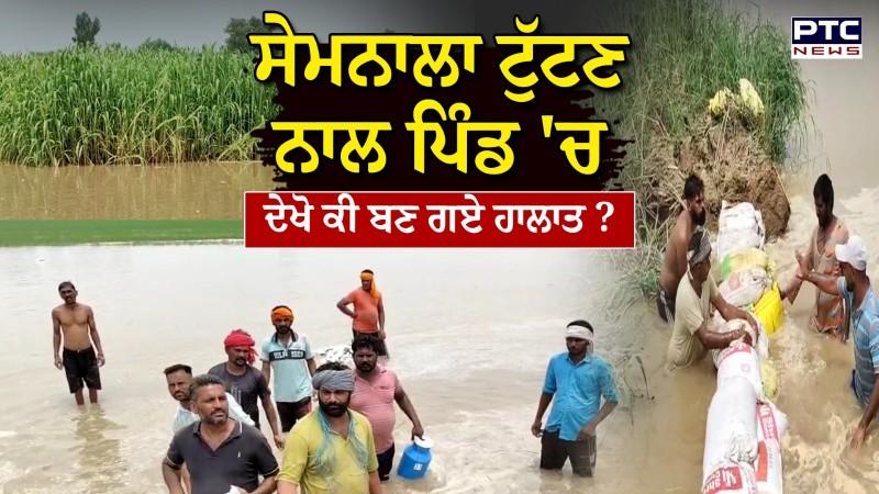 Fazilka News :ਡੁੱਬ ਗਈਆਂ ਸਾਰੀਆਂ ਫ਼ਸਲਾਂ, ਸੇਮਨਾਲਾ ਟੁੱਟਣ ਨਾਲ ਪਿੰਡ 'ਚ ਹਰ ਪਾਸੇ ਪਾਣੀ ਹੀ ਪਾਣੀ