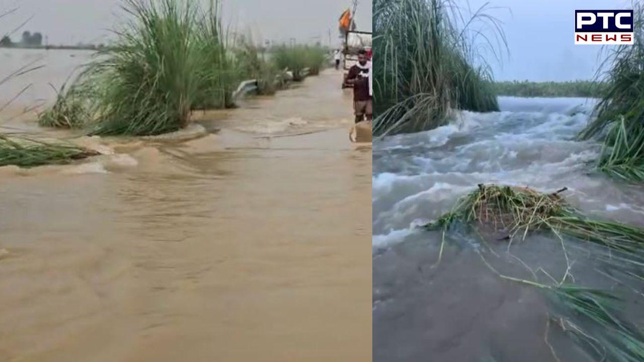 Sultanpur Floods : ਸੁਲਤਾਨਪੁਰ ਲੋਧੀ ਦੇ ਮੰਡ ਖੇਤਰ 'ਚ ਬਿਆਸ ਦਰਿਆ ਦਾ ਕਹਿਰ, 6 ਥਾਂਵਾਂ ਤੋਂ ਟੁੱਟੇ ਆਰਜੀ ਬੰਨ੍ਹ, 13-14 ਹਜ਼ਾਰ ਏਕੜ ਫਸਲ ਤਬਾਹ