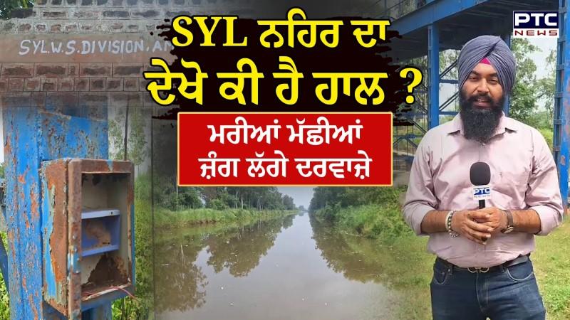 SYL ਨਹਿਰ ਦਾ ਦੇਖੋ ਕੀ ਹੈ ਹਾਲ ? ਮਰੀਆਂ ਮੱਛੀਆਂ, ਜ਼ੰਗ ਲੱਗੇ ਦਰਵਾਜ਼ੇ, ਨੀਂਹ ਪੱਥਰ ਵੀ ਹੋਇਆ ਗਾਇਬ