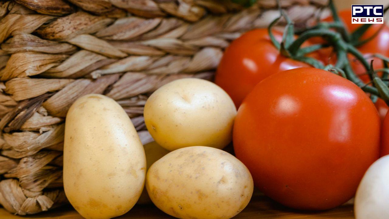 Potato Birth Story : ਟਮਾਟਰ ਹੈ ਆਲੂ ਦਾ ਪਿਓ! ਜਾਣੋ ਕਿਵੇਂ ਹੋਇਆ ਆਲੂ ਦਾ ਜਨਮ ? ਵਿਗਿਆਨੀਆਂ ਦੀ ਹੈਰਾਨਕੁੰਨ ਦਾਅਵਾ