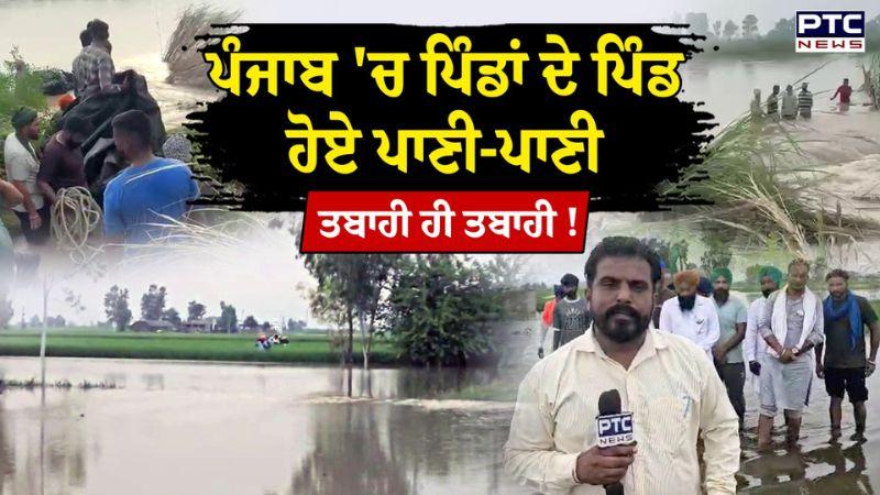 Flood : ਬਿਆਸ ਦਰਿਆ ਦਾ ਟੁੱਟਿਆ ਬੰਨ੍ਹ, ਕਈ ਪਿੰਡਾਂ 'ਚ ਵੜ੍ਹਿਆ ਪਾਣੀ, ਕਿਸਾਨਾਂ ਦੇ ਖੇਤਾਂ ਦਾ ਦੇਖੋ ਹਾਲ