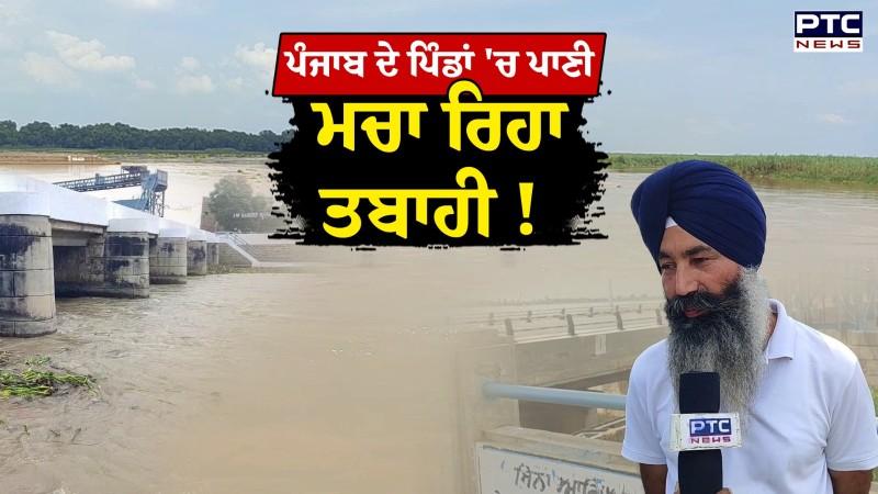 Harike Barrage 'ਚ ਵੱਧ ਰਿਹਾ ਪਾਣੀ ਦਾ ਪੱਧਰ, ਪੰਜਾਬ ਦੇ ਪਿੰਡਾਂ 'ਚ ਪਾਣੀ ਮਚਾ ਰਿਹਾ ਤਬਾਹੀ !