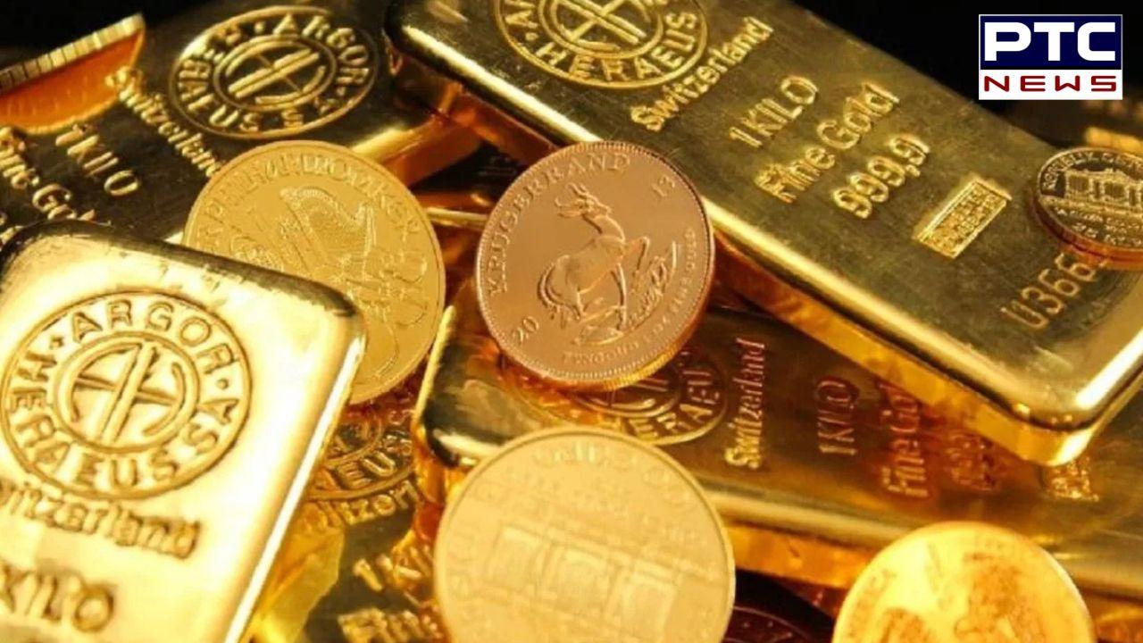 MP Bank Loot News : 18 ਮਿੰਟਾਂ ਵਿੱਚ ਐਮਪੀ ਬੈਂਕ ਵਿੱਚ ਵਾਪਰੀ ਵੱਡੀ ਘਟਨਾ; 14 ਕਰੋੜ ਦਾ ਸੋਨਾ ਅਤੇ ਲੱਖਾਂ ਦੀ ਨਕਦੀ ਲੁੱਟ ਕੇ ਭੱਜੇ ਲੁਟੇਰੇ