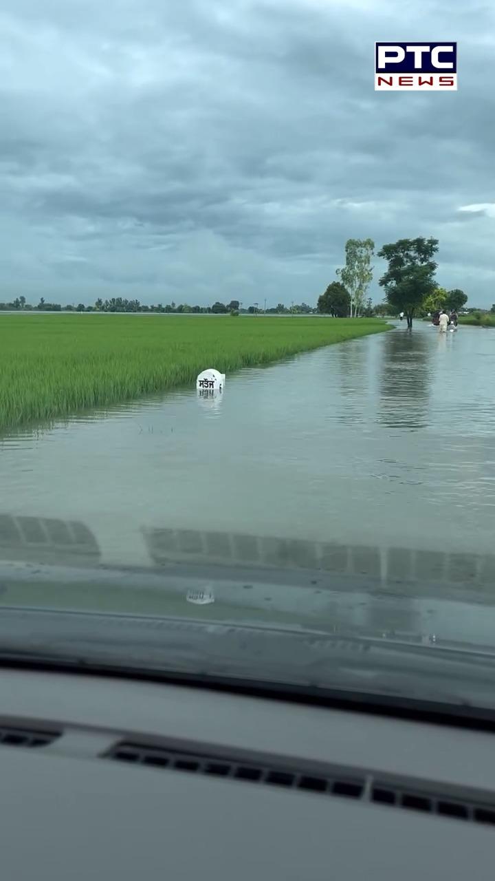 CM ਭਗਵੰਤ ਮਾਨ ਦੇ ਪਿੰਡ ਸਤੌਜ ਦਾ ਦੇਖੋ ਹਾਲ