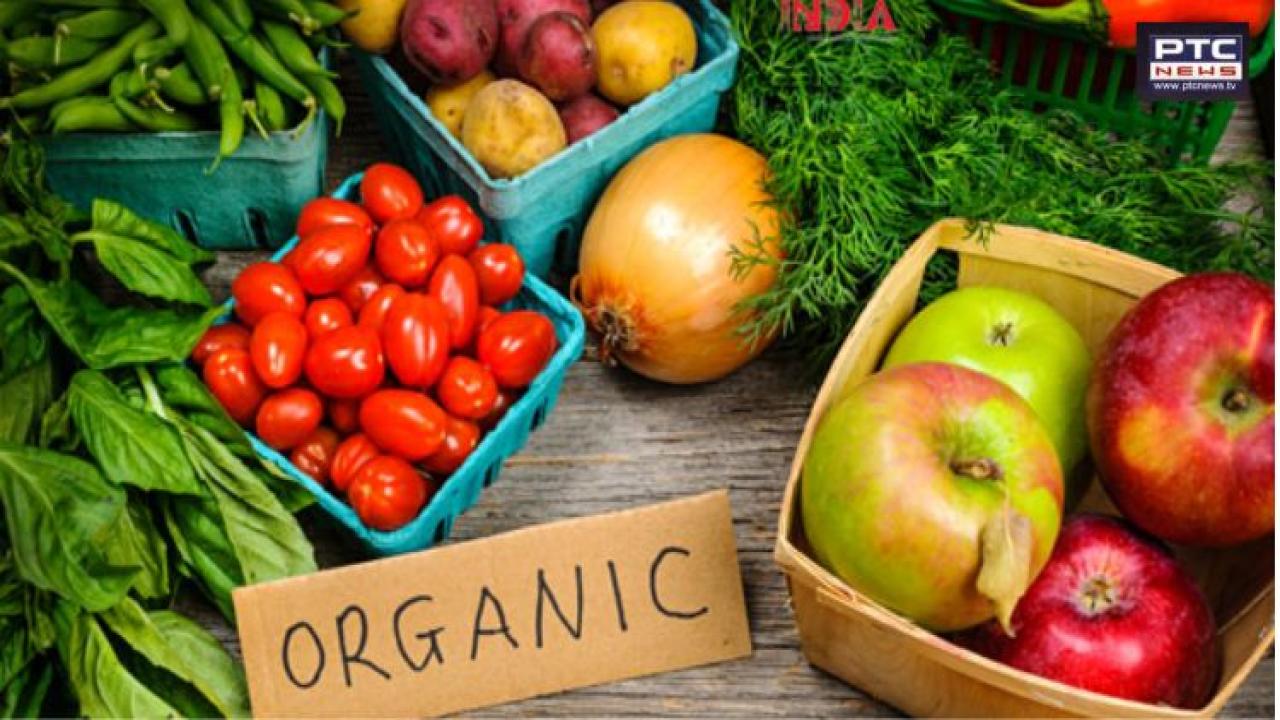 Organic vs conventional produce: What science really says about health benefits