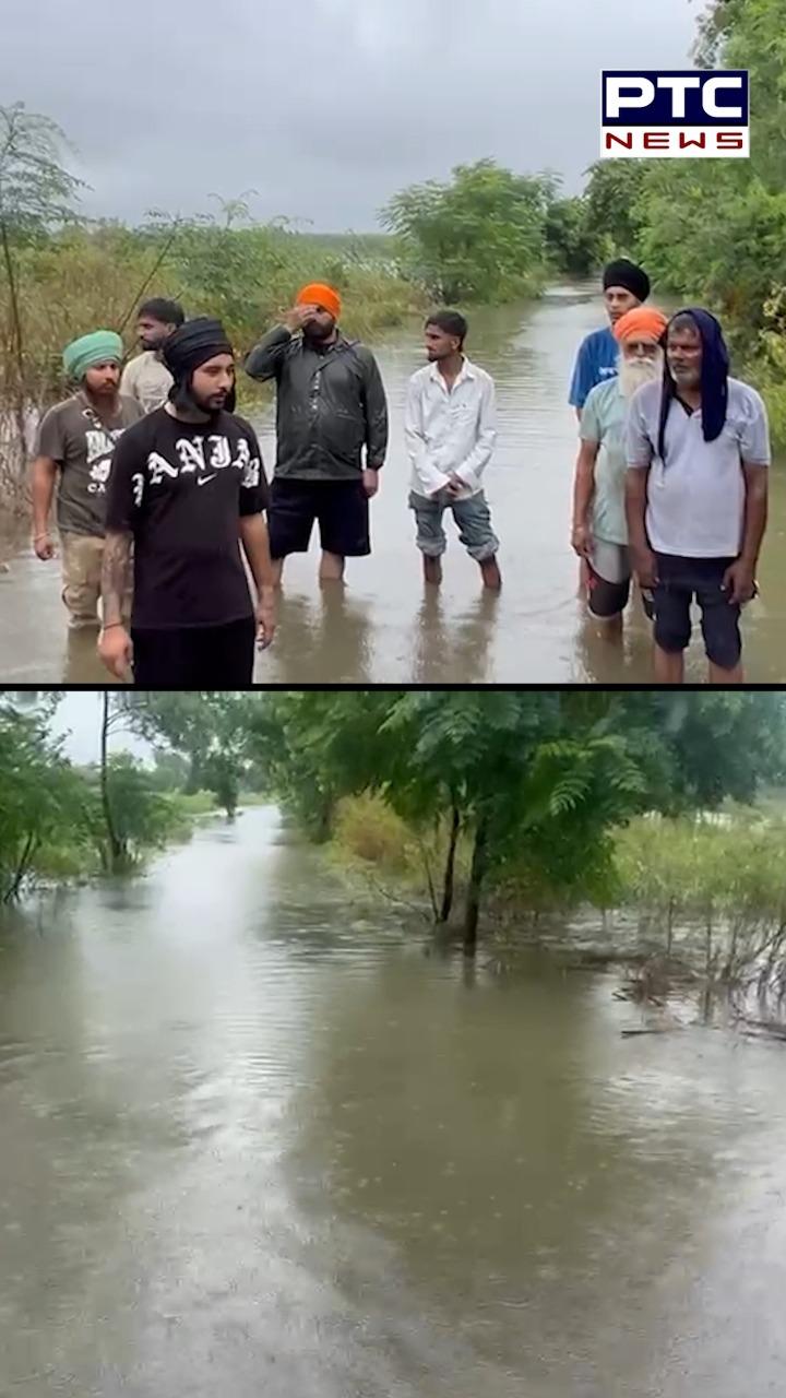 Jalandhar : ਆਹ ਦੇਖ ਲਓ ਪੰਜਾਬ ‘ਚ ਪਾਣੀ ਦੀ ਤਬਾਹੀ ਦਾ ਭਿਆਨਕ ਮੰਜ਼ਰ !