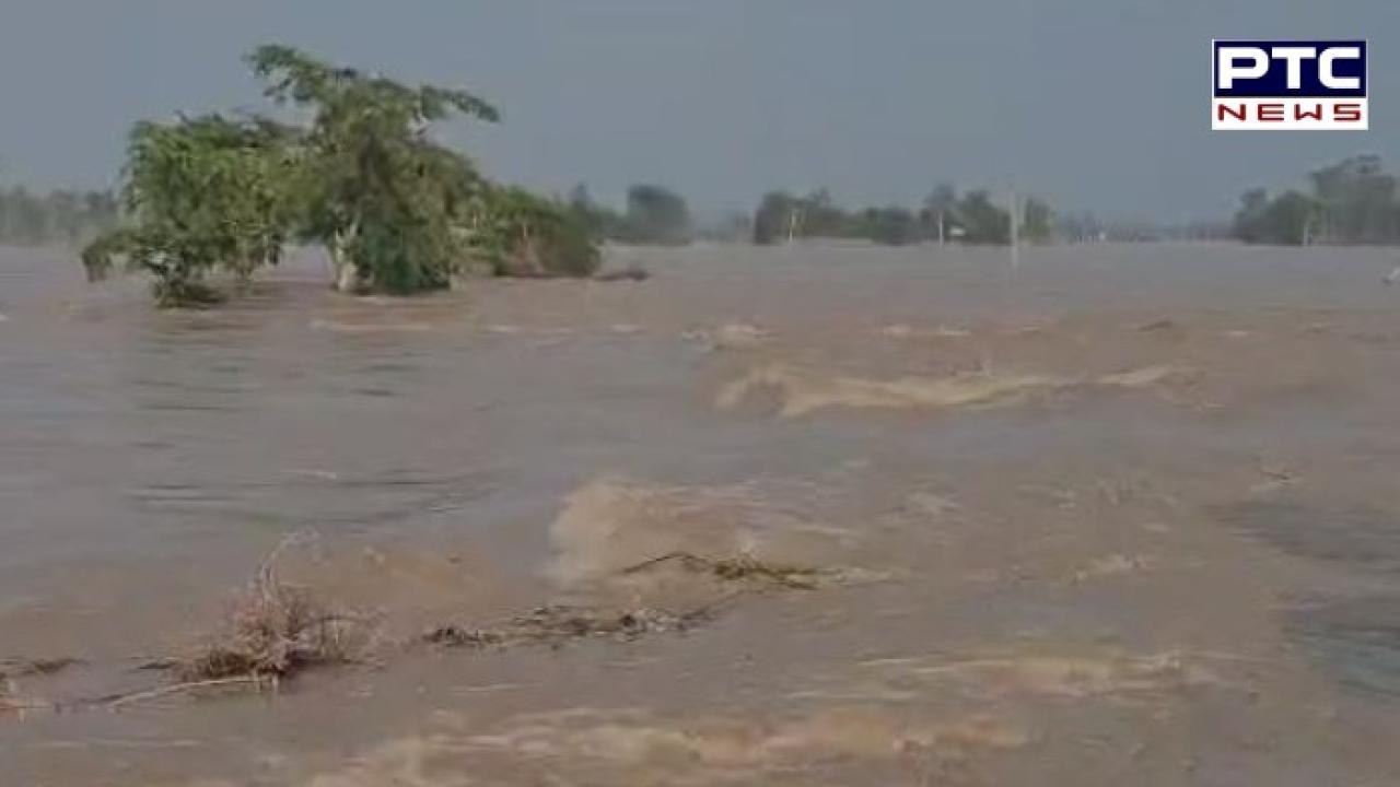Punjab Flood Updates : ਪੰਜਾਬ 'ਚ ਮੀਂਹ ਲਈ ਰੈੱਡ ਅਲਰਟ ,ਹੜ੍ਹਾਂ ਨਾਲ ਪ੍ਰਭਾਵਿਤ 9 ਜ਼ਿਲ੍ਹੇ; ਘੱਗਰ ਦੇ ਪਾਣੀ ਦਾ ਵਧਿਆ ਪੱਧਰ