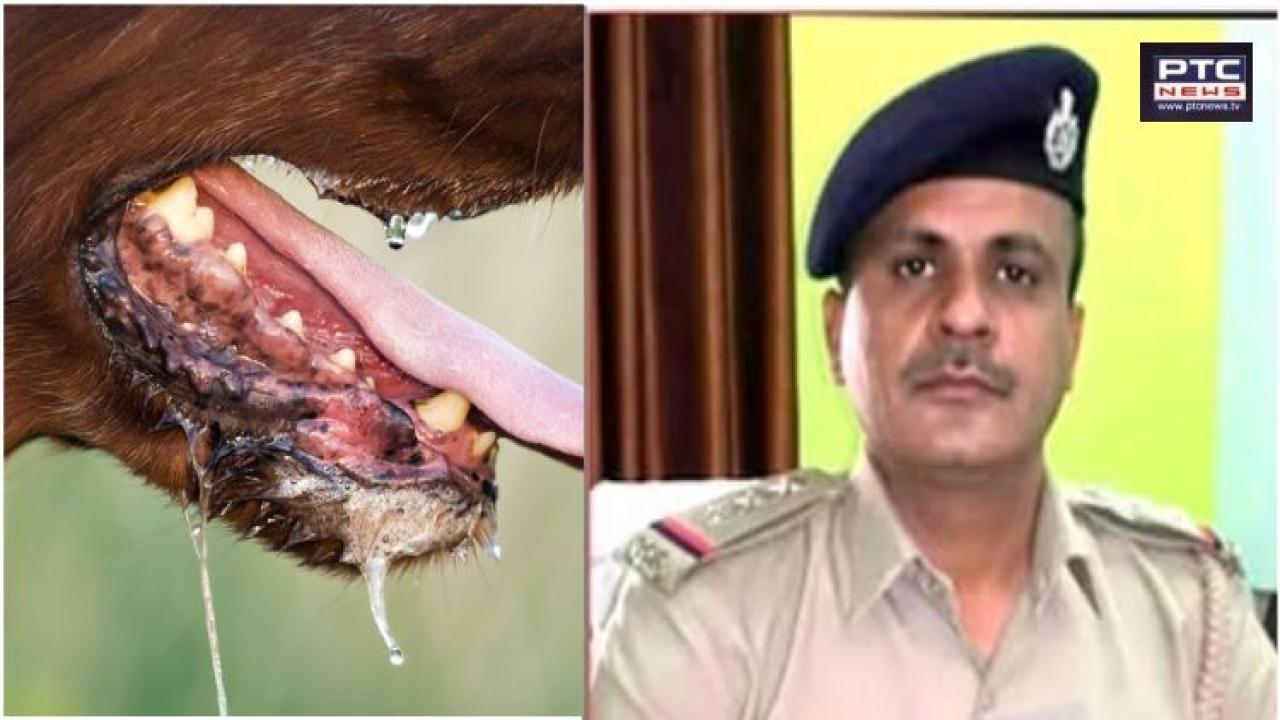 Rabies death: Gujarat Police inspector dies of virus after pet dog scratch