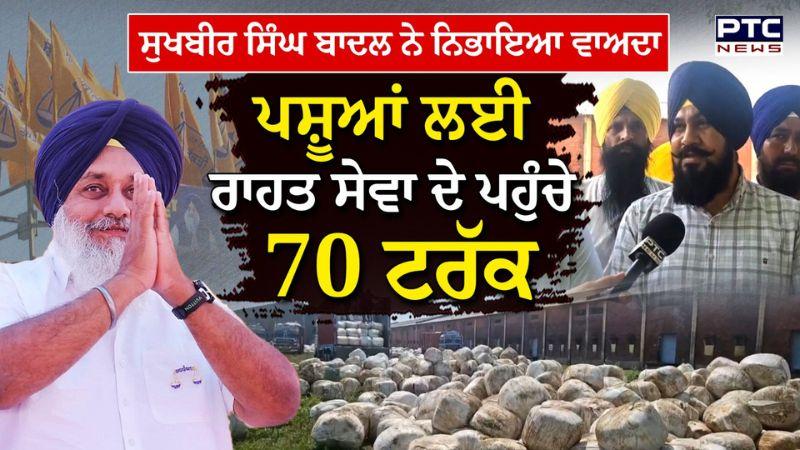 Sukhbir Singh Badal ਨੇ ਨਿਭਾਇਆ ਵਾਅਦਾ, ਪਸ਼ੂਆਂ ਲਈ ਚਾਰੇ ਦੇ ਭੇਜੇ 70 ਟਰੱਕ - Shiromani Akali Dal