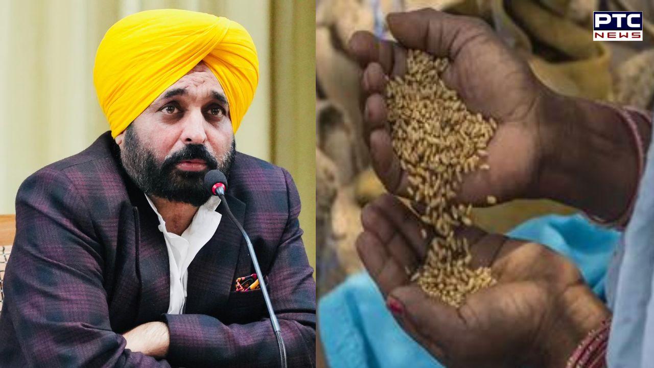Punjab Free Wheat : ਪੰਜਾਬ 'ਚ ਮੁਫ਼ਤ ਕਣਕ ਲੈਣ ਵਾਲੇ 11 ਲੱਖ ਲਾਭਪਾਤਰੀਆਂ ਨੂੰ ਲੱਗੇਗਾ ਝਟਕਾ ! ਮਾਨ ਸਰਕਾਰ ਵੱਲੋਂ ਕੇਂਦਰੀ ਮਾਪਦੰਡਾਂ 'ਤੇ ਚੱਲਣ ਦਾ ਫੈਸਲਾ