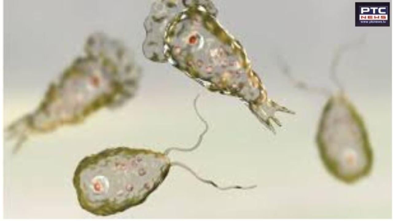 Kerala reports two more deaths from rare brain-eating amoeba, toll rises to three in August