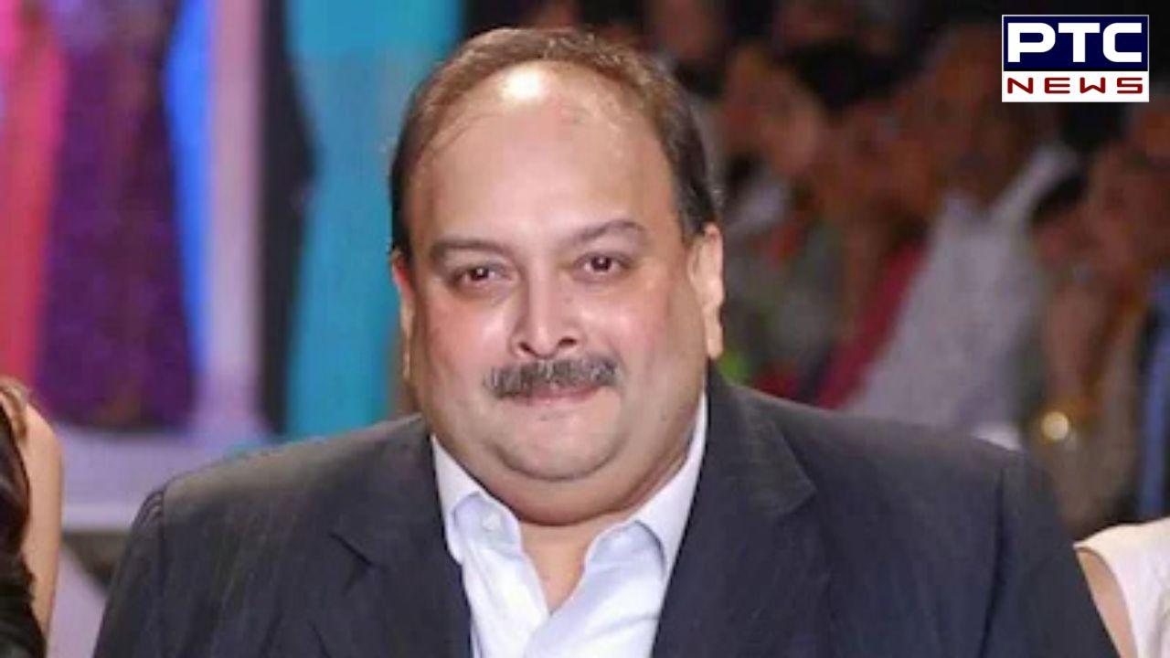 Big diplomatic win for India: Belgium Court clears fugitive Mehul Choksi's extradition to India