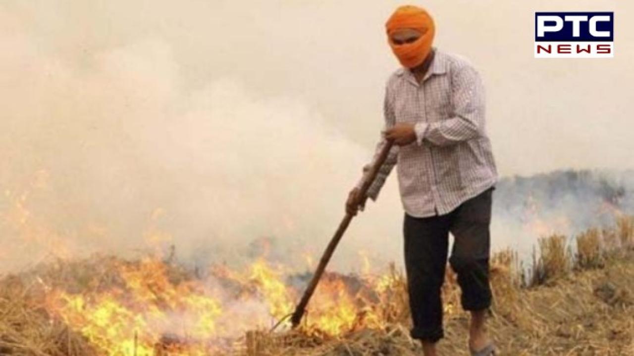 Punjab 'ਚ 27 ਅਕਤੂਬਰ ਨੂੰ ਪਰਾਲੀ ਨੂੰ ਅੱਗ ਲੱਗਣ ਦੇ 147 ਨਵੇਂ ਮਾਮਲੇ ਦਰਜ ,ਜਾਣੋ ਹੁਣ ਤੱਕ ਕਿੰਨੇ ਮਾਮਲੇ ਹੋਏ ਦਰਜ ?
