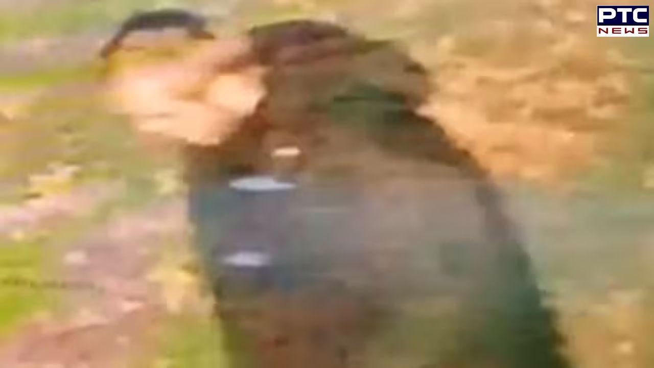 Indian-origin woman sexually assaulted in UK over racial identity, police release suspect's cctv