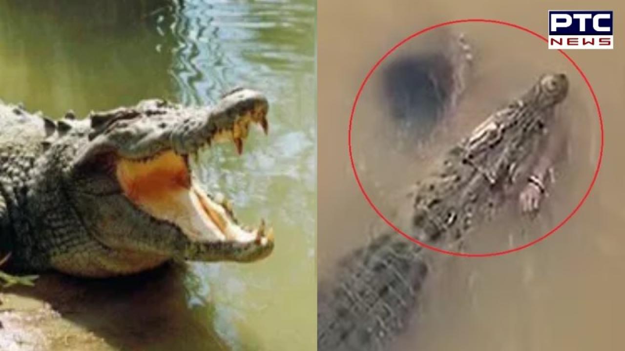 Crocodile Attack woman : ਨਦੀ ਕਿਨਾਰੇ ਕੱਪੜੇ ਧੋ ਰਹੀ ਮਹਿਲਾ ਨੂੰ ਖਿੱਚ ਕੇ ਪਾਣੀ 'ਚ ਲੈ ਗਿਆ ਮਗਰਮੱਛ ,ਦਿਲ ਦਹਿਲਾਉਣ ਵਾਲੀ ਘਟਨਾ